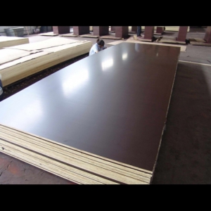 VÁN COPPHA PHỦ PHIM